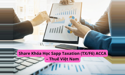 Khóa Học Sapp Taxation (TX/F6) ACCA – Thuế Việt Nam