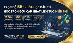 Trọn Bộ 56+ Khóa Học Đầu Tư – Học Trọn Đời, Cập Nhật Liên Tục Miễn Phí