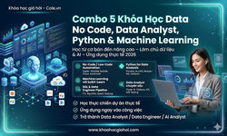 Combo 5 Khóa Học Data No Code, Data Analyst, Python & Machine Learning Cùng Cole.vn