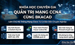 Khóa Học Chuyên Gia Quản Trị Mạng CCNA Cùng Bkacad