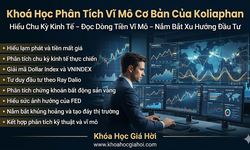 Khoá Học Phân Tích Vĩ Mô Cơ Bản Của Koliaphan