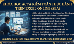 Khóa Học Acca Kiểm Toán Thực Hành Trên Excel Online (SEA)