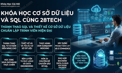Khóa Học Cơ Sở Dữ Liệu Và Sql Cùng 28Tech