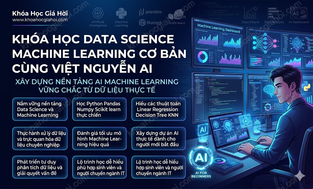 Khóa Học Data Science Machine Learning Cơ Bản Cùng Việt Nguyễn AI