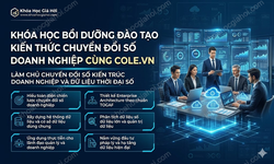 Khóa Học Bồi Dưỡng - Đào Tạo Kiến Thức Chuyển Đổi Số Doanh Nghiệp Cùng Cole.vn
