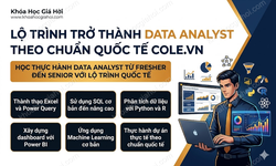Lộ Trình Trở Thành Data Analyst Theo Chuẩn Quốc Tế Cole.vn