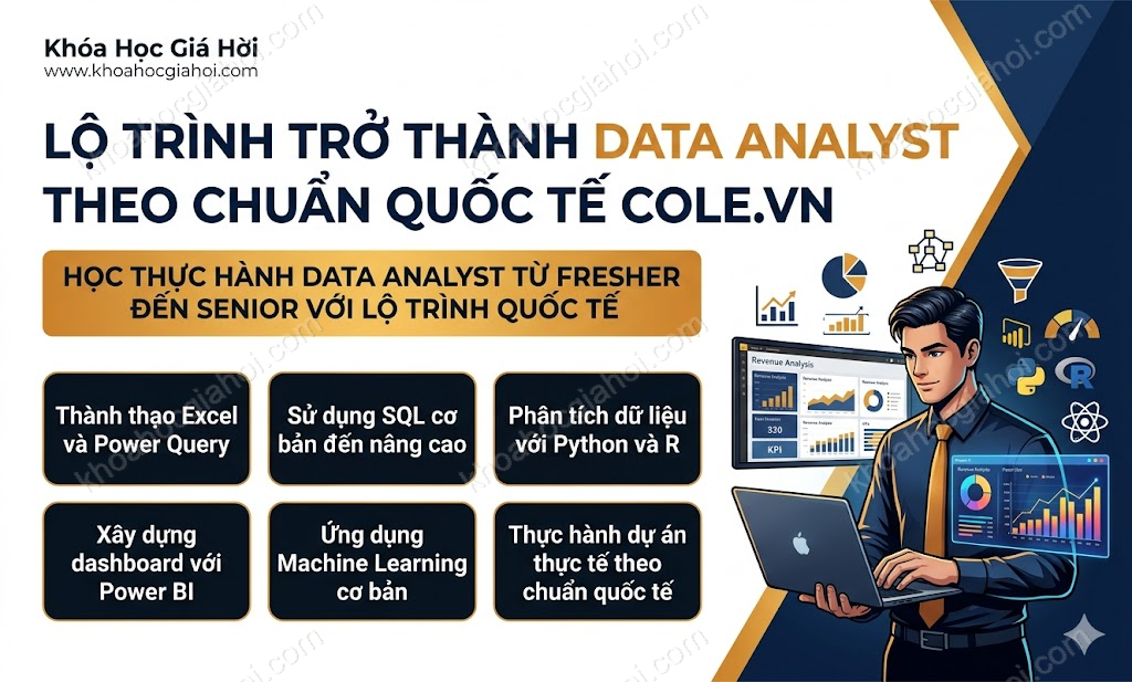 Lộ Trình Trở Thành Data Analyst Theo Chuẩn Quốc Tế Cole.vn
