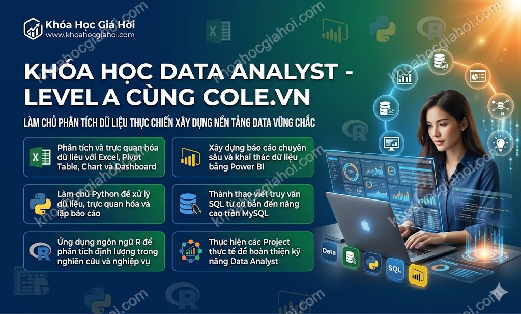 Khóa Học Data Analyst - Level A Cùng Cole.vn