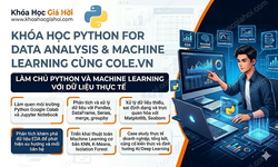 Khóa Học Khóa Python For Data Analysis & Machine Learning Cùng Cole.vn