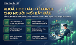 Khoá Học Đầu Tư Forex Cho Người Mới Bắt Đầu