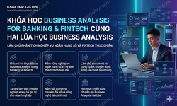 Khóa Học Business Analysis For Banking & Fintech Cùng Hai Lúa Học Business Analysis
