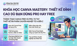 Khóa Học Canva Mastery: Thiết Kế Đỉnh Cao Dù Bạn Dùng Pro Hay Free
