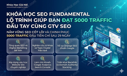 Khóa Học Seo Fundamental Lộ Trình Giúp Bạn Đạt 5000 Traffic Đầu Tay Cùng Gtv Seo