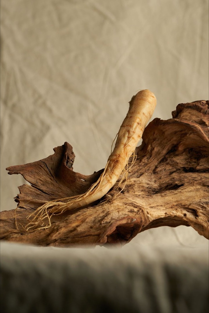 Ginseng