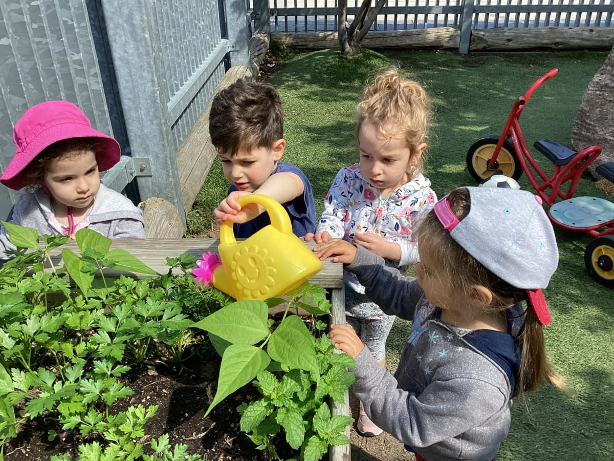 Sheva Learning Framework