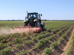 Сельхозтоваропроизводители Тверской области получат региональную поддержку в 2025 году