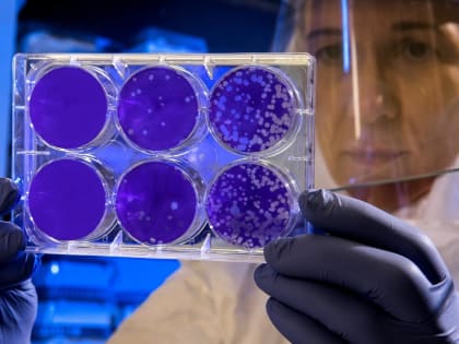 Вторая волна гриппа и ОРВИ может начаться во второй половине января