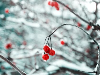 Погода в Твери сегодня: синоптики прогнозируют до минус 6 градусов