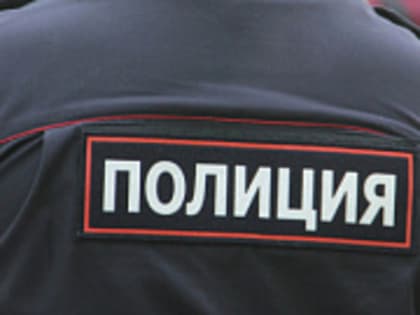 Под Тверью из «Газели» на дорогу выпала корова