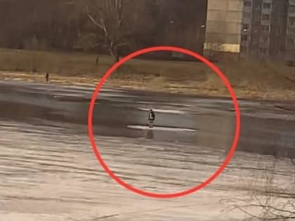 В Конаково со льдины спасли подростка