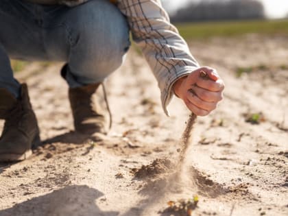 Снижение уровня плодородия почвы в Тверской области