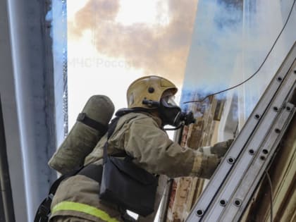 В Твери пенсионерка травила насекомых и подожгла пол