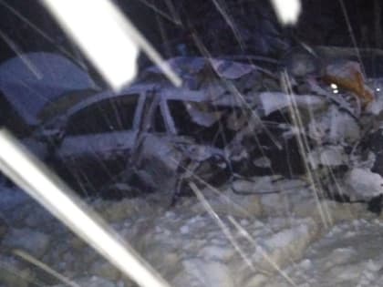 На М9 в ДТП на встречке погибла женщина и пострадал ребенок