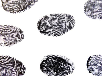 Тверские криминалисты нашли воришку банковской карты по отпечаткам пальцев