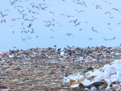 В Лихославле выявлена свалка ТКО, чиновники заложили средства на ее устранение