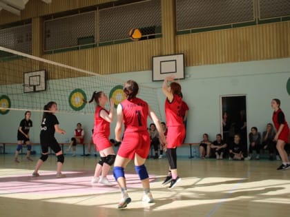 Первенство по волейболу