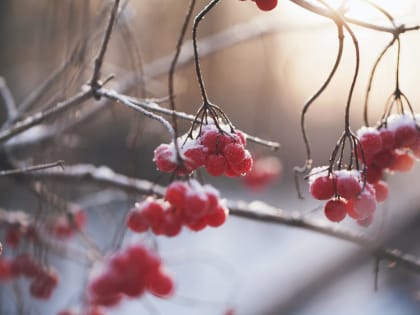 Погода в Твери сегодня: легкий мороз, небольшой снег, очень скользкие улицы