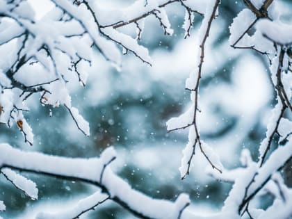 Прогноз погоды: в Тверской области объявлен «желтый» уровень опасности