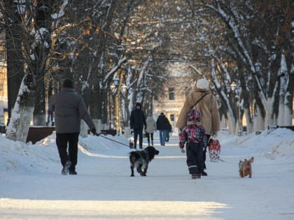 Погода в Твери сегодня: снежно и морозно