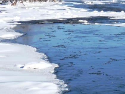 Россельхознадзор готовиться к весеннему половодью