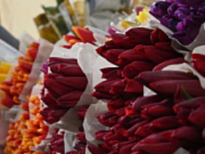 Народные приметы на 8 марта: кто точно не выйдет замуж и почему нельзя грубить