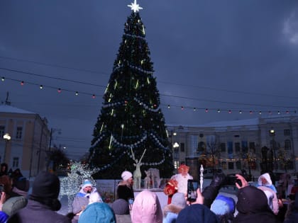 В Жарковском на главной площади установят живую ель