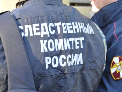 В Тверской области нашли пропавшую в конце февраля девочку