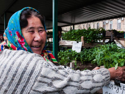 В январе в Тверской области заметно подешевели картофель, стройматериалы и газомоторное топливо