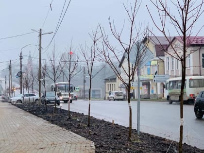 Изменение названий улиц в Ржеве: новые имена для исторического наследия