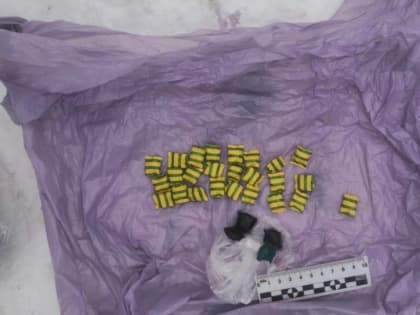 В Тверской области 41-летняя закладчица прятала героин и метадон в чужом сарае