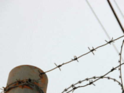 Полиция задержала в Тверской области двух мужчин за серию угонов