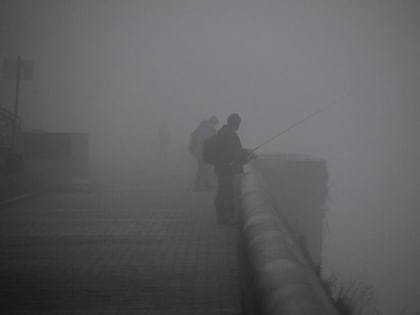 Туман прогнозируют в Тверской области