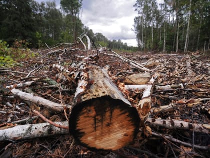 Штраф за загрязнение сельхозугодий в Тверской области