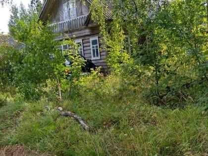 В Тверской области внедорожник врезался в дом