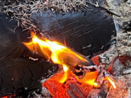 В Тверской области нашли и обезвредили взрывоопасные предметы