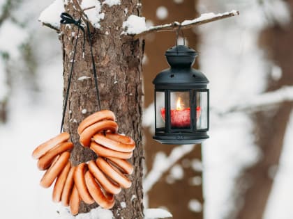 Погода в Твери сегодня: туманы, дождь и гололедица