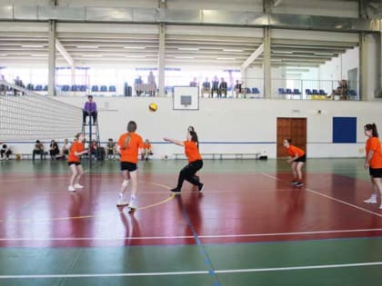 Спортивная игра для ловких и умелых