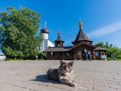 В Оршином монастыре под Тверью освятили новую церковь