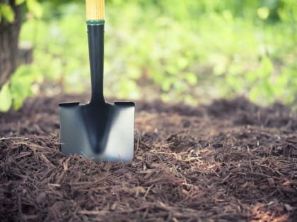 АО “Атерра” приведет земли сельхозназначения в порядок после получения предостережения Россельхознадзора