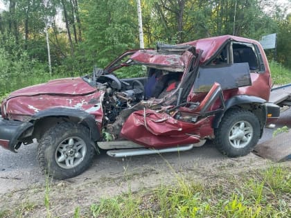 В Тверской области водитель врезался в дерево и погиб